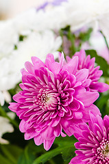 Image showing Summer flowers bouquet, close-up  