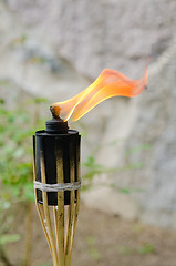 Image showing Burning Fire torch, close-up