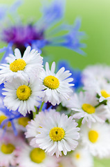 Image showing Bouquet of daisies and cornflowers close-up