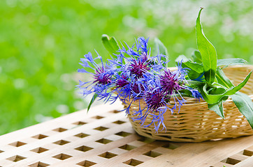 Image showing Bunch of cornflowers in a wicker basket. Summer background