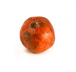 Image showing Pomegranate