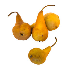 Image showing Yellow pears isolated on white