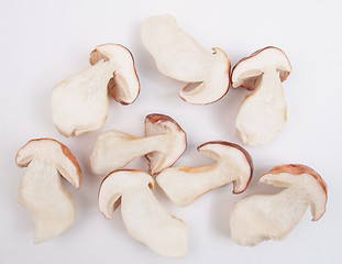 Image showing Porcini Mushroom