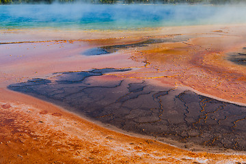 Image showing Geothermal fields in Yellowstone National Park