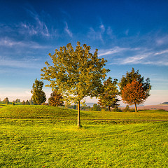 Image showing Idyllic autumn scenery