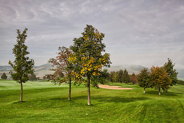 Image showing On the golf course in the morning mist