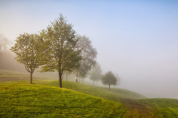 Image showing In the morning mist on a golf course