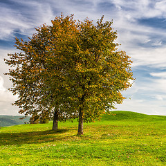 Image showing Idyllic autumn scenery on the golf course