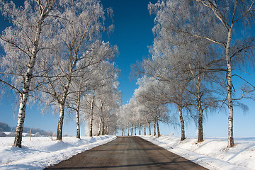 Image showing Winter road in sunny day