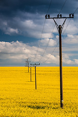 Image showing Rape field and blue sky