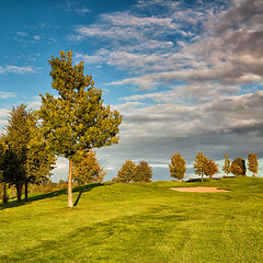 Image showing Summer golf course at sunset