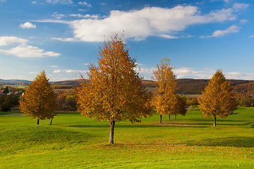 Image showing Idyllic autumn scenery