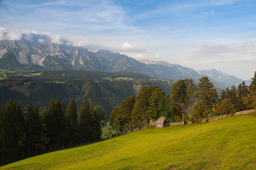 Image showing On pasture in mountains