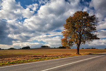 Image showing Autumn scenery near a empty road