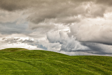 Image showing On the golf course in the morning mist