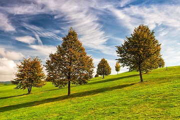 Image showing Idyllic autumn scenery on the golf course