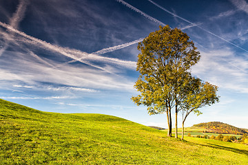 Image showing Autumn golf course