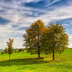 Image showing Idyllic autumn scenery on the golf course