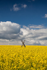 Image showing Hunting tower on the rape field