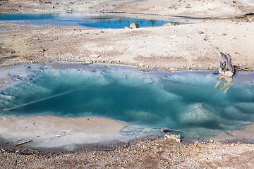 Image showing Norris Gayser Basin in Yellowstone