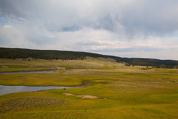 Image showing Hayden Valley - landscape of American Bison