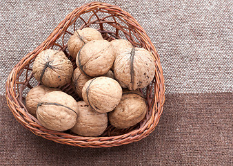 Image showing Walnuts in the old wicker basket on burlap