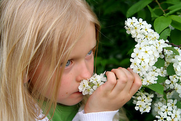 Image showing Romantic portrait