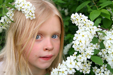 Image showing Romantic portrait