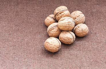 Image showing walnuts close up on the burlap background