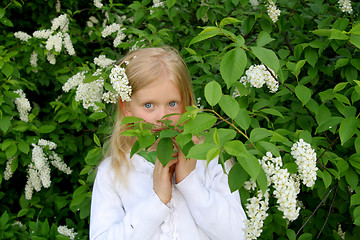 Image showing Romantic portrait