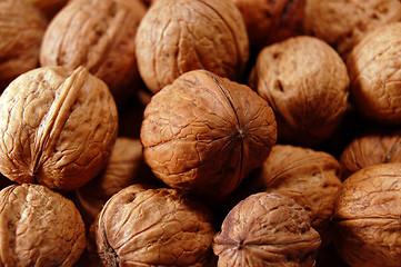 Image showing Walnuts