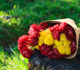 Image showing bright bouquet of chrysanthemums is on the stump