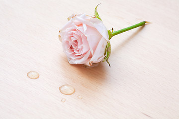 Image showing pink rose and water drops on a wooden background