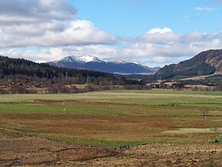 Image showing Spey valley, west of Laggan, Scotland in spring