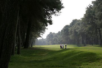 Image showing Golf swing in riva dei tessali golf course, italy