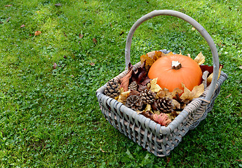 Image showing Rustic basket with pumpkin, fir cones and leaves