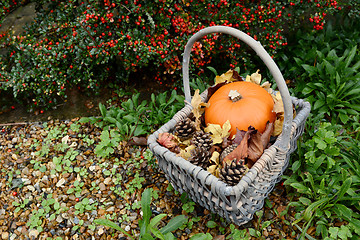 Image showing Autumn basket with pumpkin, fir cones and leaves