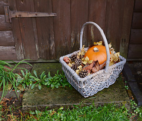 Image showing Basket with pumpkin, dry leaves and fir cones on a rustic step