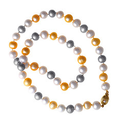 Image showing Pearls bead