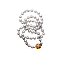 Image showing Pearls bead