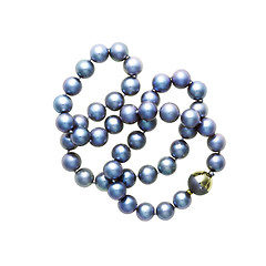 Image showing Pearls bead