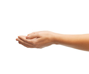 Image showing womans cupped hands