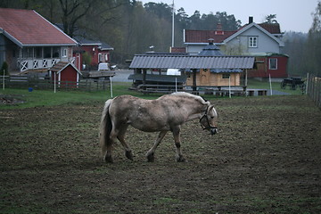 Image showing On the norwegian farm