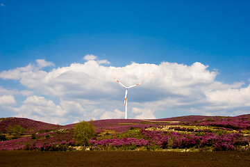 Image showing Wind Turbine