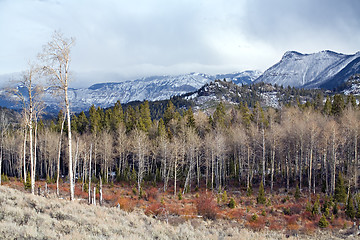 Image showing wyoming wilderness