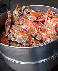 Image showing Kettle full of crabs