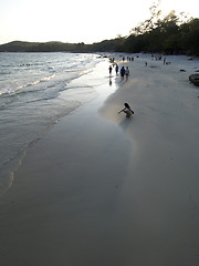 Image showing Tropical beach at sunset