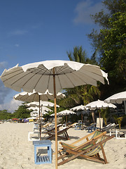 Image showing Chairs and parasols on the beach