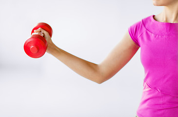 Image showing sporty woman hands with light red dumbbells