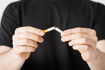 Image showing man breaking the cigarette with hands